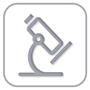 Fully Automatic Detection