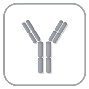 Antibody Service